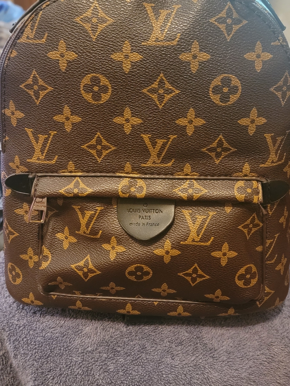 Louis Vuitton Men’s Monogram Backpack in Brown